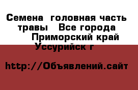 Семена (головная часть))) травы - Все города  »    . Приморский край,Уссурийск г.